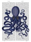 Octopus 9, Blue