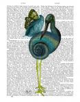 Snail Bird