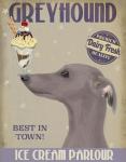 Greyhound, Grey, Ice Cream