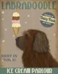 Labradoodle, Brown, Ice Cream