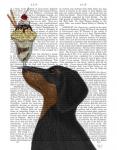 Dachshund, Black and Tan, Ice Cream