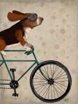 Basset Hound on Bicycle