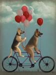 German Shepherd Tandem