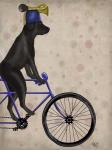 Black Labrador on Bicycle