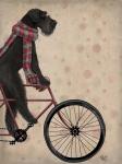 Schnauzer on Bicycle, Black