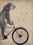 Schnauzer on Bicycle, Grey