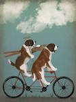 St Bernard Tandem