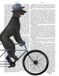 Poodle on Bicycle, Black