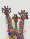 Rainbow Splash Giraffe Trio