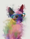 Rainbow Splash Cat 2