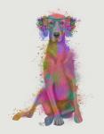 Rainbow Splash Weimaraner, Full