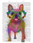 Rainbow Splash French Bulldog, Full