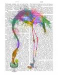 Rainbow Splash Flamingo 3