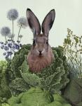 Cabbage Patch Rabbit 1