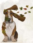 Basset Hound Windswept and Interesting
