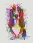 Basset Hound Rainbow Splash