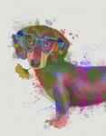 Dachshund And Glasses Rainbow Splash