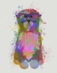 Tibetan Terrier Rainbow Splash