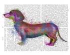 Dachshund Rainbow Splash 1