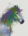Horse Portrait 1 Rainbow Splash