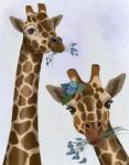 Chewing Giraffe Duo