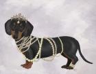 Dachshund and Pearls