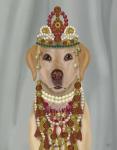 Yellow Labrador and Tiara, Portrait