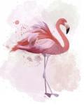 Fluffy Flamingo 2