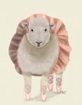 Ballet Sheep 1