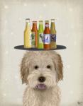 Labradoodle Gold 1 Beer Lover