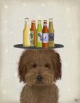 Labradoodle Brown 1 Beer Lover