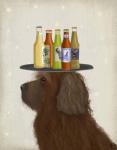 Labradoodle Brown 2 Beer Lover