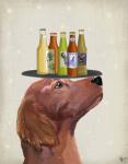 Red Setter Beer Lover