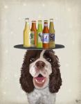 Springer Spaniel Brown White Beer Lover