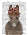 Donkey Bohemian 1 Book Print