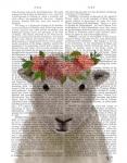 Sheep Bohemian 1 Book Print