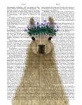 Llama Bohemian 1 Book Print
