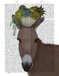 Donkey Succulent Book Print