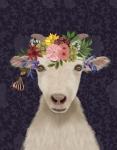 Goat Bohemian 1