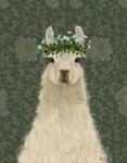 Llama Bohemian 1