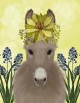 Donkey Sunflower