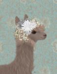 Llama Bohemian 3