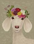 Goat Bohemian 2