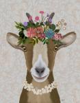Goat Bohemian 3