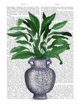 Chinoiserie Vase 2, With Plant Book Print