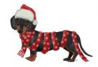 Christmas Des - Dachshund Snowflake Scarf