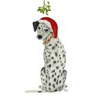 Christmas Des - Dalmatian Mistletoe