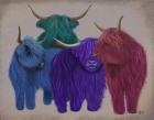 Highland Cows, Multicoloured Herd