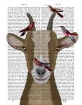 Goat and Red Birds Book Print