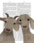 Goat Duo, Looking at You Book Print